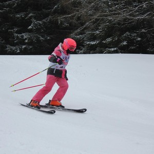 Školní závody ve sjezdovém lyžování