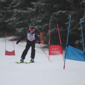 Školní závody ve sjezdovém lyžování