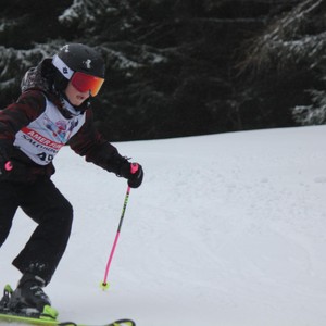 Školní závody ve sjezdovém lyžování