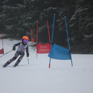 Školní závody ve sjezdovém lyžování