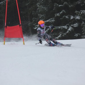 Školní závody ve sjezdovém lyžování