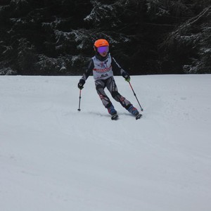 Školní závody ve sjezdovém lyžování