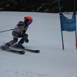 Školní závody ve sjezdovém lyžování