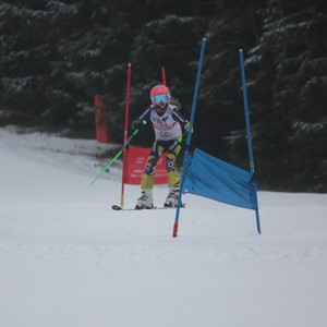 Školní závody ve sjezdovém lyžování