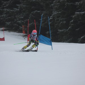 Školní závody ve sjezdovém lyžování