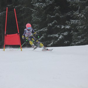 Školní závody ve sjezdovém lyžování
