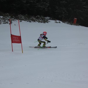 Školní závody ve sjezdovém lyžování