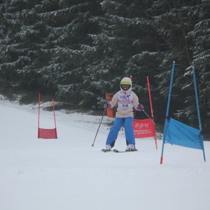 Školní závody ve sjezdovém lyžování