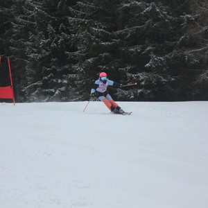 Školní závody ve sjezdovém lyžování