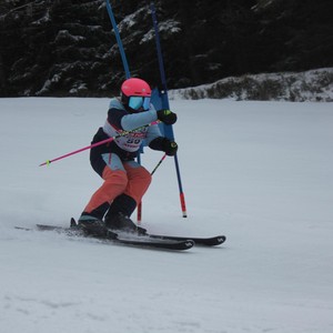 Školní závody ve sjezdovém lyžování