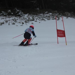 Školní závody ve sjezdovém lyžování