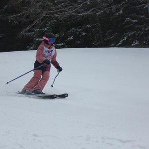 Školní závody ve sjezdovém lyžování