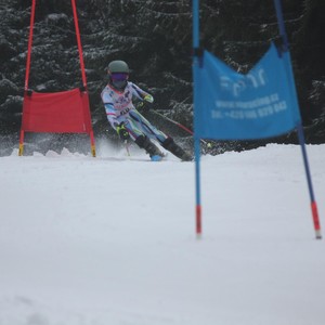 Školní závody ve sjezdovém lyžování