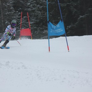 Školní závody ve sjezdovém lyžování