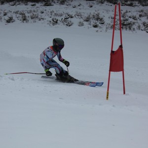 Školní závody ve sjezdovém lyžování