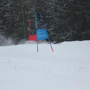 Školní závody ve sjezdovém lyžování