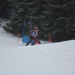 Školní závody ve sjezdovém lyžování