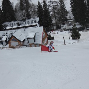 Školní závody ve sjezdovém lyžování