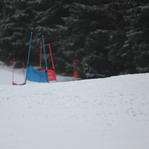 Školní závody ve sjezdovém lyžování