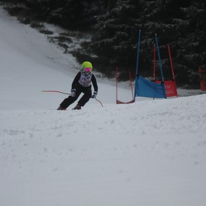 Školní závody ve sjezdovém lyžování