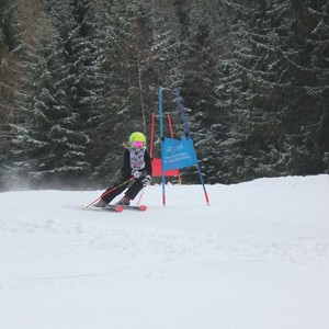 Školní závody ve sjezdovém lyžování