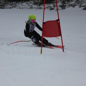 Školní závody ve sjezdovém lyžování