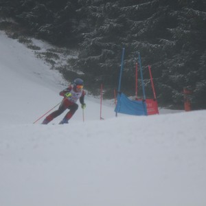 Školní závody ve sjezdovém lyžování