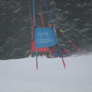 Školní závody ve sjezdovém lyžování