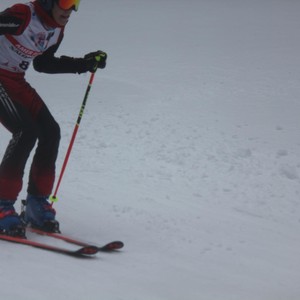 Školní závody ve sjezdovém lyžování