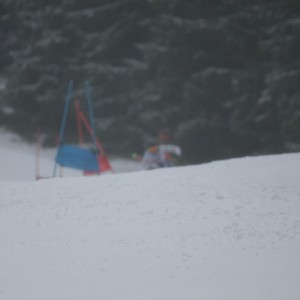 Školní závody ve sjezdovém lyžování