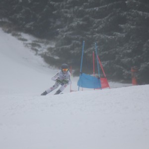 Školní závody ve sjezdovém lyžování