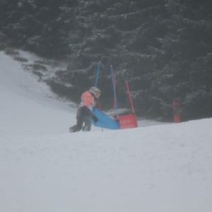 Školní závody ve sjezdovém lyžování