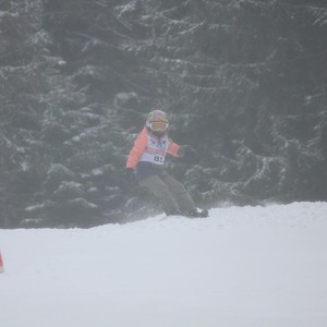 Školní závody ve sjezdovém lyžování