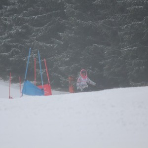 Školní závody ve sjezdovém lyžování