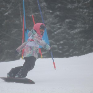 Školní závody ve sjezdovém lyžování