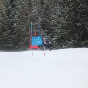 Školní závody ve sjezdovém lyžování