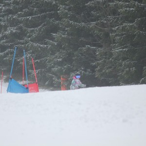 Školní závody ve sjezdovém lyžování