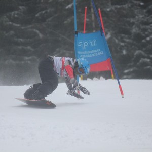 Školní závody ve sjezdovém lyžování