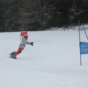 Školní závody ve sjezdovém lyžování