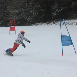 Školní závody ve sjezdovém lyžování