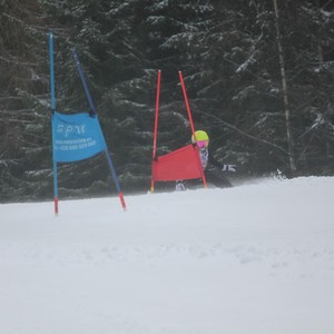 Školní závody ve sjezdovém lyžování