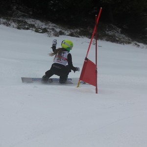 Školní závody ve sjezdovém lyžování