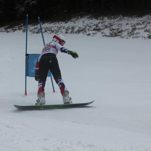 Školní závody ve sjezdovém lyžování