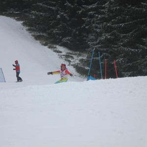 Školní závody ve sjezdovém lyžování