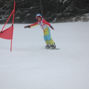 Školní závody ve sjezdovém lyžování