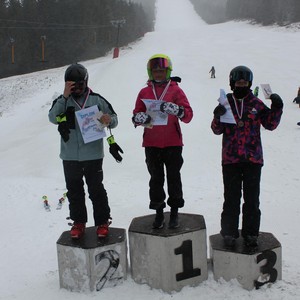 Školní závody ve sjezdovém lyžování