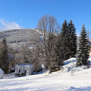 Družina - leden