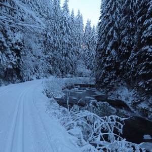 Družina - leden