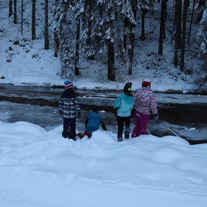 Družina - leden