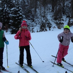 Družina - leden